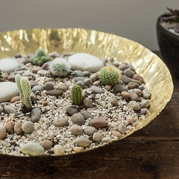 Brass Plant Bowl 4 Brass Plant Bowl - Image 2