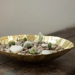 Brass Plant Bowl 9 Brass Plant Bowl -Feathered Garden pr2000028421 card3 lg