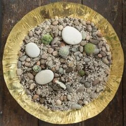 Brass Plant Bowl 10 Brass Plant Bowl -Feathered Garden pr2000028421 card4 lg