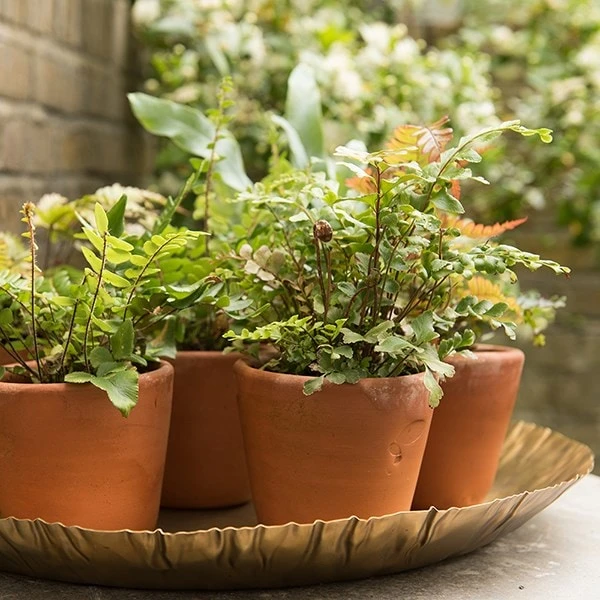 Brass Tray 4 Brass Tray - Image 2