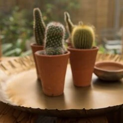 Brass Tray 11 Brass Tray -Feathered Garden pr2000028422 card4 lg