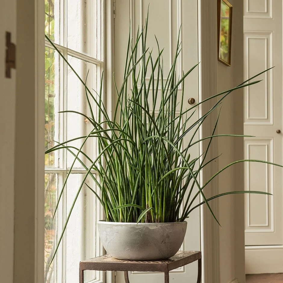 Rough Cast Aluminium Bowl 3 Rough Cast Aluminium Bowl