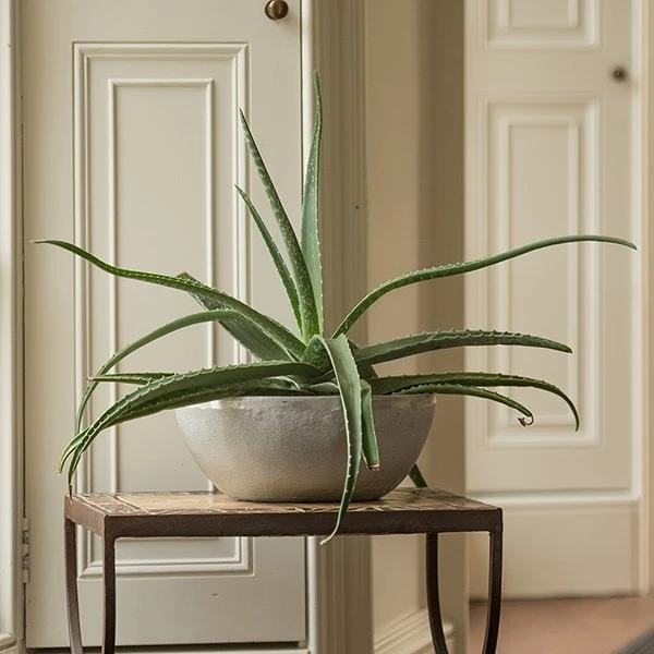 Rough Cast Aluminium Bowl 4 Rough Cast Aluminium Bowl - Image 2