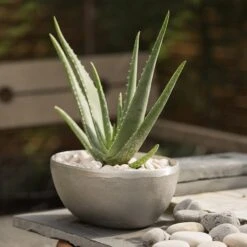 Rough Cast Aluminium Bowl 19 Rough Cast Aluminium Bowl -Feathered Garden pr2000028424 card8 lg