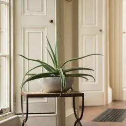 Rough Cast Aluminium Bowl 20 Rough Cast Aluminium Bowl -Feathered Garden pr2000028424 card9 lg