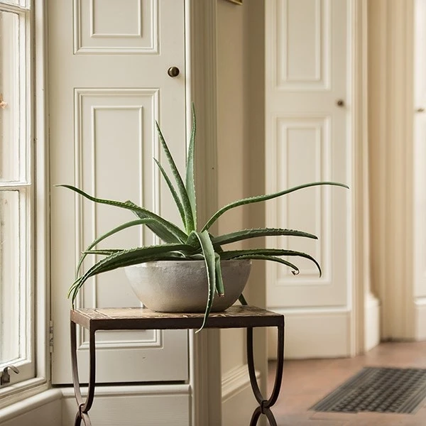 Rough Cast Aluminium Bowl 11 Rough Cast Aluminium Bowl - Image 9