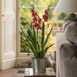 Hand Etched Aluminium Planter 16 Hand Etched Aluminium Planter -Feathered Garden pr2000028556 card5 lg