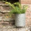 Galvanised Planter On Legs 1 Galvanised Planter On Legs -Feathered Garden pr2000028785