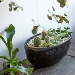 Rough Cast Aluminium Bowl - Charcoal Black 14 Rough Cast Aluminium Bowl - Charcoal Black -Feathered Garden pr2000028887 card3 lg