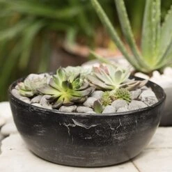 Rough Cast Aluminium Bowl - Charcoal Black 19 Rough Cast Aluminium Bowl - Charcoal Black -Feathered Garden pr2000028887 card8 lg