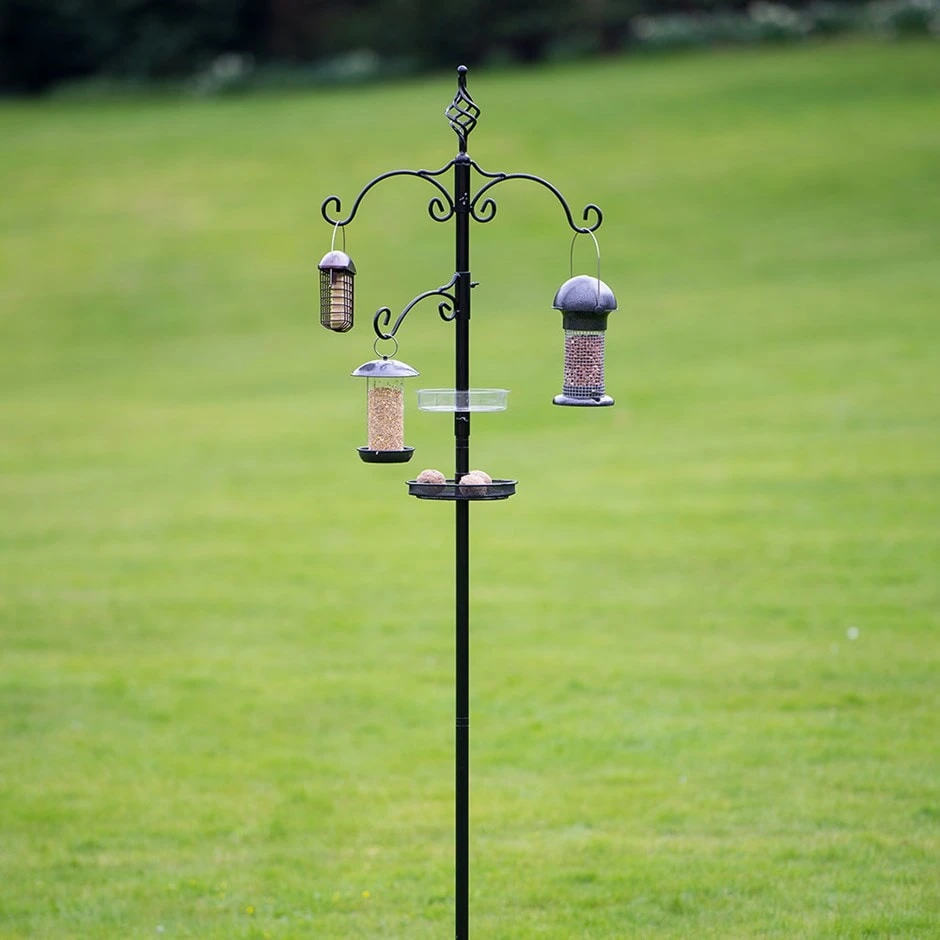 Deluxe Bird Station 3 Deluxe Bird Station