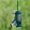 The Squirrel Buster Seed Feeder -Feathered Garden pr2000031075