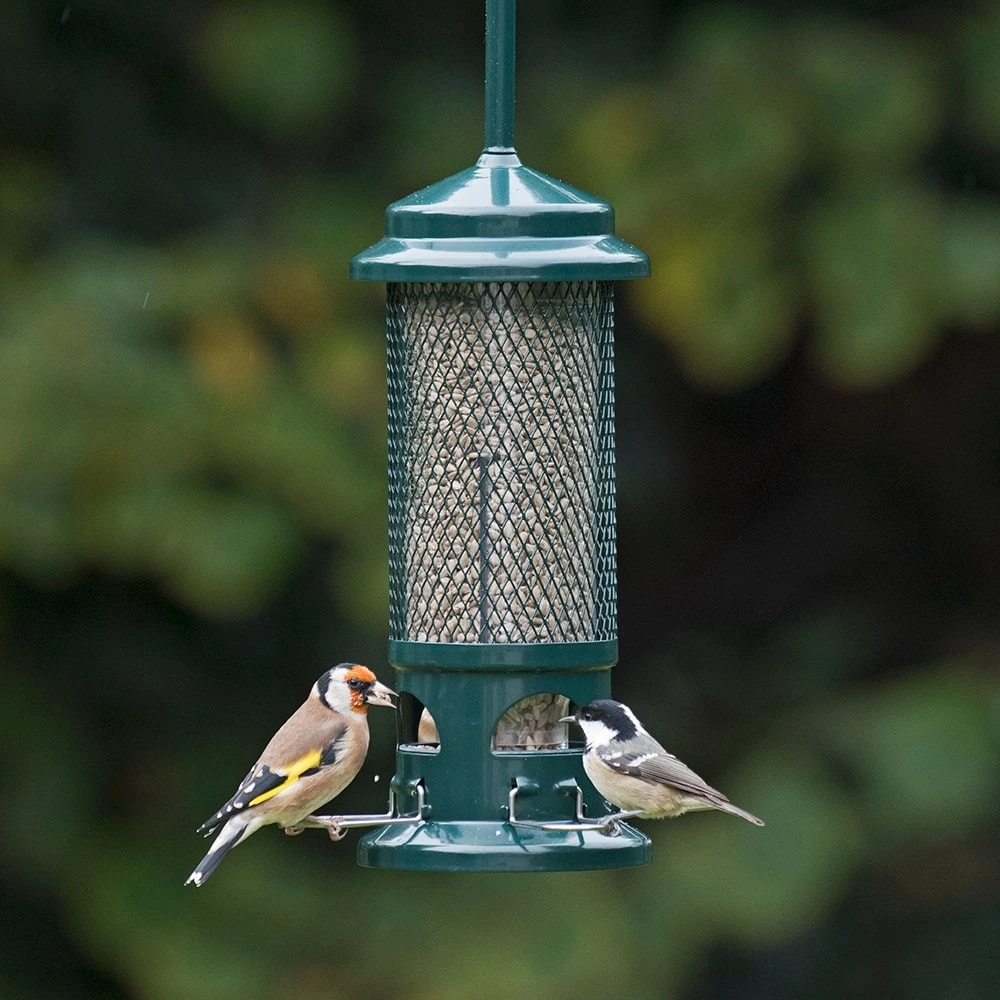 The Squirrel Buster Seed Feeder 4 The Squirrel Buster Seed Feeder - Image 2