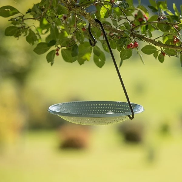 Hanging Bird Bowl Set - Crocus Green 5 Hanging Bird Bowl Set - Crocus Green - Image 3