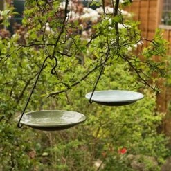 Hanging Bird Bowl Set - Crocus Green 13 Hanging Bird Bowl Set - Crocus Green -Feathered Garden pr2000031470 card6 lg