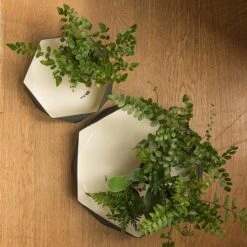 Enamelled Geo Metal Plant Tray 8 Enamelled Geo Metal Plant Tray -Feathered Garden pr2000031479 card2 lg