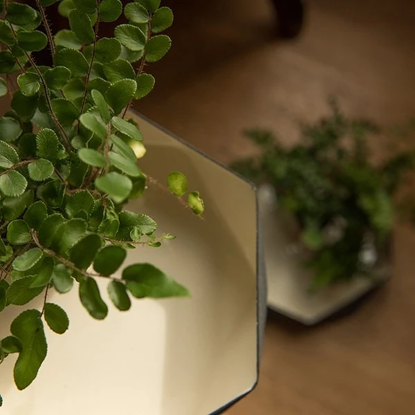 Enamelled Geo Metal Plant Tray 5 Enamelled Geo Metal Plant Tray - Image 3