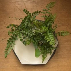 Enamelled Geo Metal Plant Tray 10 Enamelled Geo Metal Plant Tray -Feathered Garden pr2000031479 card4 lg