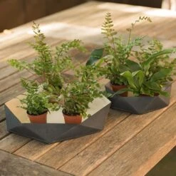 Enamelled Geo Metal Plant Tray 11 Enamelled Geo Metal Plant Tray -Feathered Garden pr2000031479 card5 lg