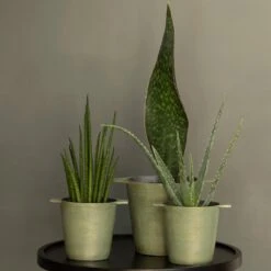 Cast Aluminium Pot Cover With Verdigris Patina -Feathered Garden pr2000031480 card8 lg