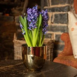 Polished Brass Pot Cover -Feathered Garden pr2000031483 card3 lg