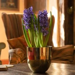 Polished Brass Pot Cover -Feathered Garden pr2000031483 card4 lg