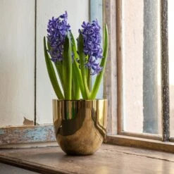 Polished Brass Pot Cover -Feathered Garden pr2000031483 card5 lg