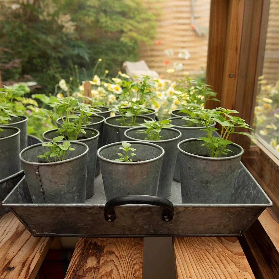 Galvanised Rectangular Tray With Blackened Handles 3 Galvanised Rectangular Tray With Blackened Handles