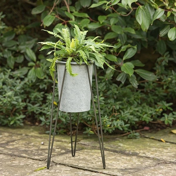 Tall Galvanised Planter With Stand 5 Tall Galvanised Planter With Stand - Image 3