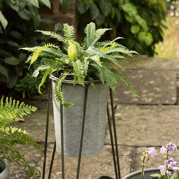 Tall Galvanised Planter With Stand 6 Tall Galvanised Planter With Stand - Image 4