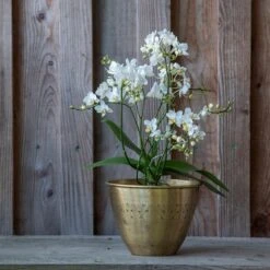 Solid Etched Brass Pot Cover 15 Solid Etched Brass Pot Cover -Feathered Garden pr2000031507 card5 lg