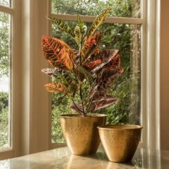 Solid Etched Brass Pot Cover 18 Solid Etched Brass Pot Cover -Feathered Garden pr2000031507 card8 lg