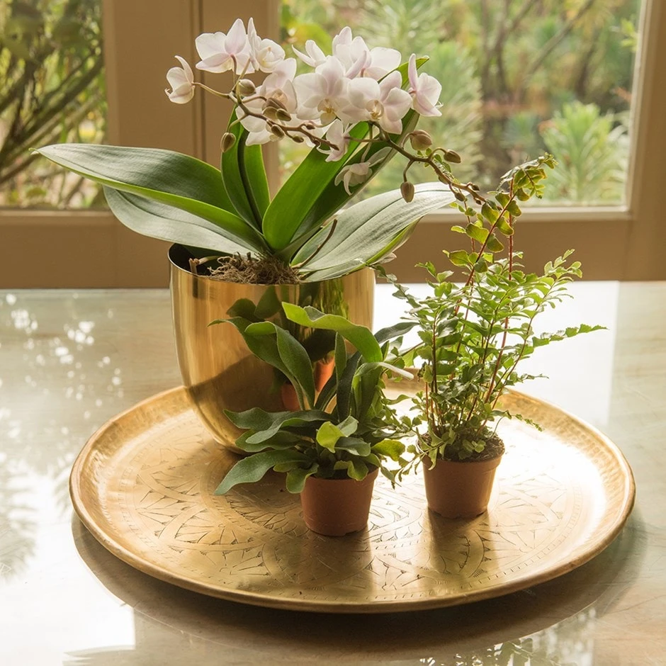 Solid Etched Brass Tray 3 Solid Etched Brass Tray