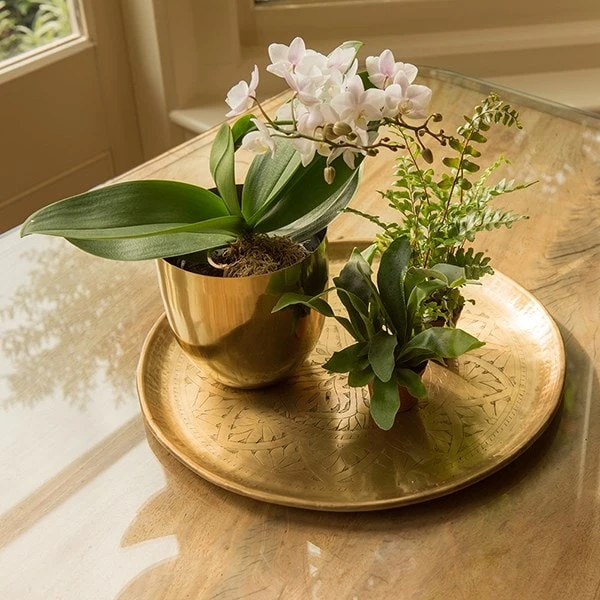 Solid Etched Brass Tray 4 Solid Etched Brass Tray - Image 2