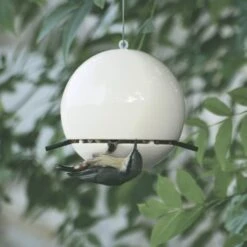 Clay Peanut Feeder White