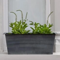 Plant Trough - Aged Zinc 12 Plant Trough - Aged Zinc -Feathered Garden pr2000033930 card3 lg