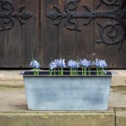 Plant Trough - Aged Zinc 16 Plant Trough - Aged Zinc -Feathered Garden pr2000033930 card7 lg