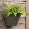 Galvanised Wall Planter -Feathered Garden pr2000033943