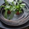 Pot Trays Aged Zinc - Set Of 3 2 Pot Trays Aged Zinc - Set Of 3 -Feathered Garden pr2000033959