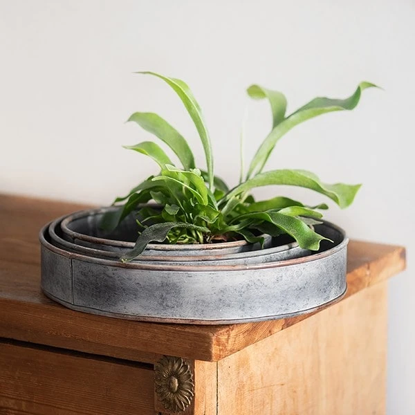 Pot Trays Aged Zinc - Set Of 3 4 Pot Trays Aged Zinc - Set Of 3 - Image 2