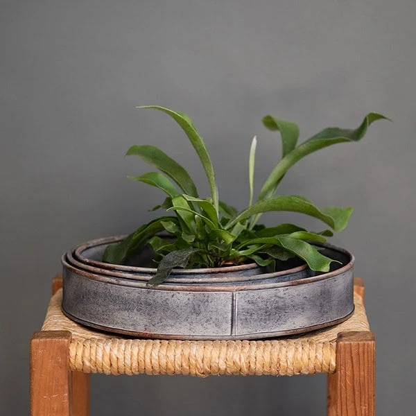 Pot Trays Aged Zinc - Set Of 3 5 Pot Trays Aged Zinc - Set Of 3 - Image 3