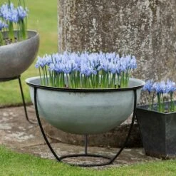 Plant Bowl And Stand - Aged Zinc 14 Plant Bowl And Stand - Aged Zinc -Feathered Garden pr2000033963 card5 lg