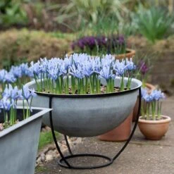 Plant Bowl And Stand - Aged Zinc 15 Plant Bowl And Stand - Aged Zinc -Feathered Garden pr2000033963 card6 lg