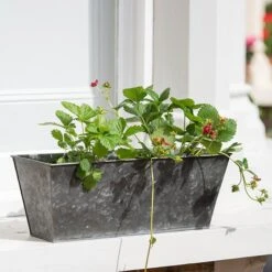 Dark Galvanised Window Trough 10 Dark Galvanised Window Trough -Feathered Garden pr2000033966 card2 lg