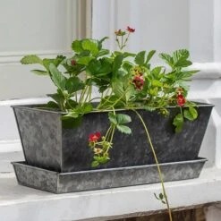Dark Galvanised Window Trough 11 Dark Galvanised Window Trough -Feathered Garden pr2000033966 card3 lg