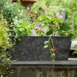 Dark Galvanised Window Trough 12 Dark Galvanised Window Trough -Feathered Garden pr2000033966 card4 lg