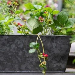 Dark Galvanised Window Trough 13 Dark Galvanised Window Trough -Feathered Garden pr2000033966 card5 lg