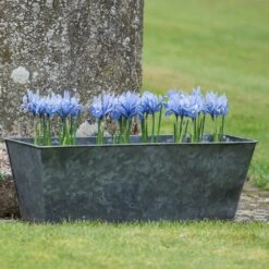 Dark Galvanised Window Trough 14 Dark Galvanised Window Trough -Feathered Garden pr2000033966 card6 lg