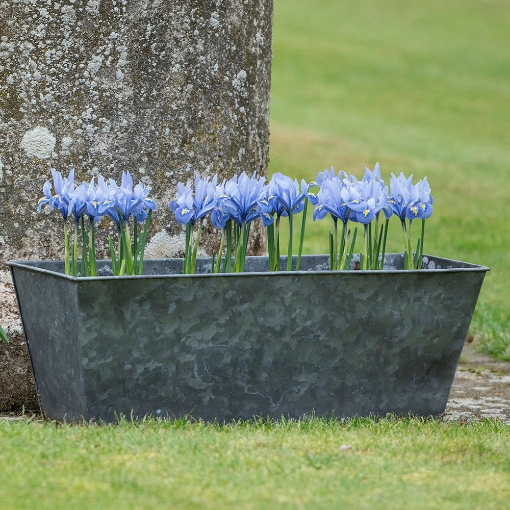 Dark Galvanised Window Trough 8 Dark Galvanised Window Trough - Image 6