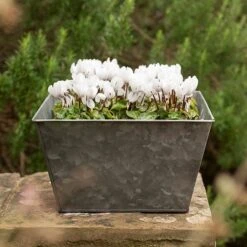Dark Galvanised Square Planter 7 Dark Galvanised Square Planter -Feathered Garden pr2000033971 card3 lg